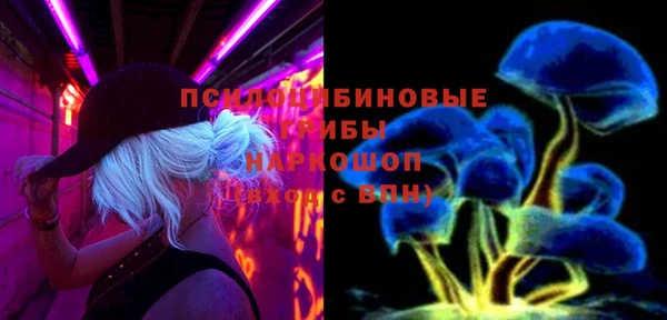 spice Вязники