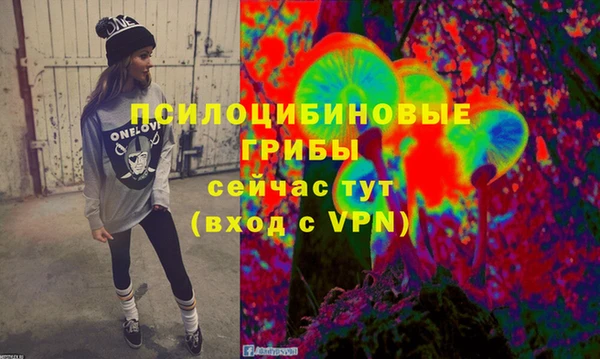 гидропоника Вяземский