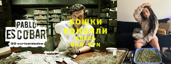 гидропоника Вяземский