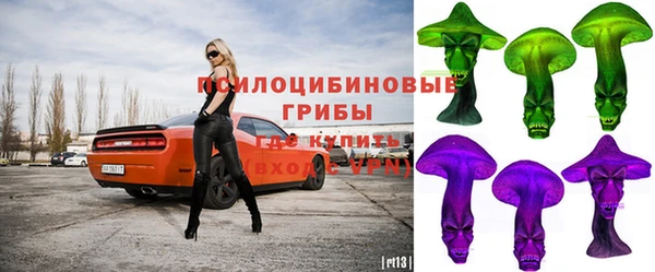 гидропоника Вяземский