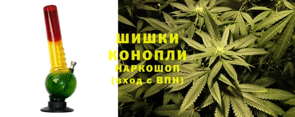 молекула духа Болотное