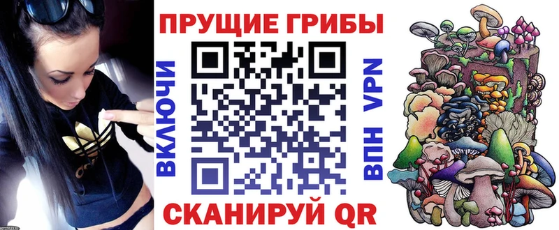 Галлюциногенные грибы MAGIC MUSHROOMS цены mega Гремячинск